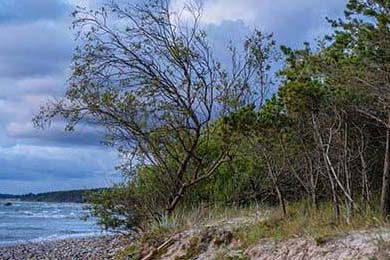 Alaska Permanent Fund: What's Really Going On