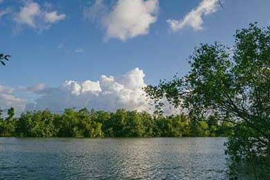 Zcash: Price, Predictions, and Coinbase Outlook – What Reddit is Saying